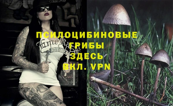 метадон Балабаново