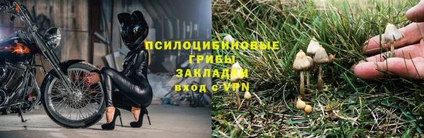 СК Баксан